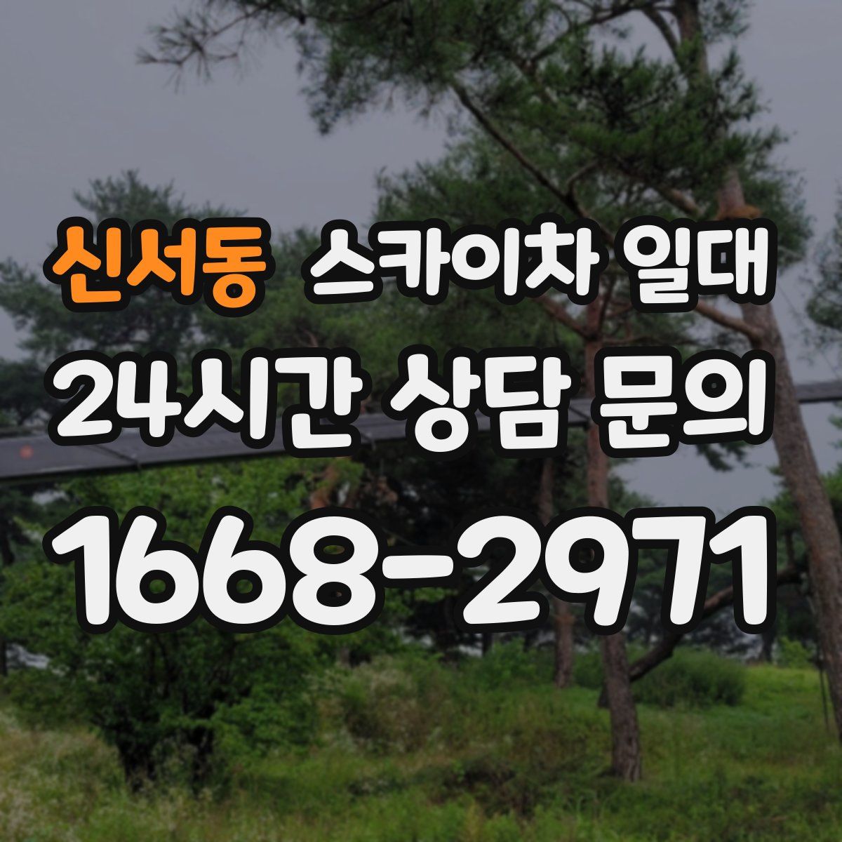 신서동 스카이차 일대