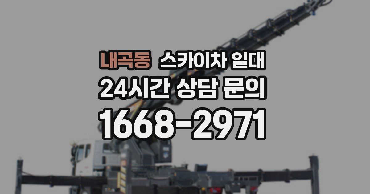 내곡동 스카이차 일대