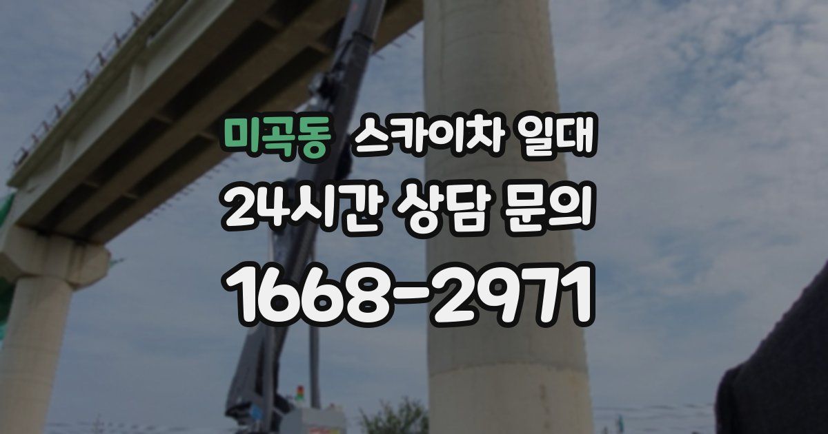 미곡동 스카이차 일대