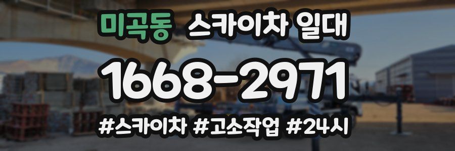 미곡동 스카이차 일대