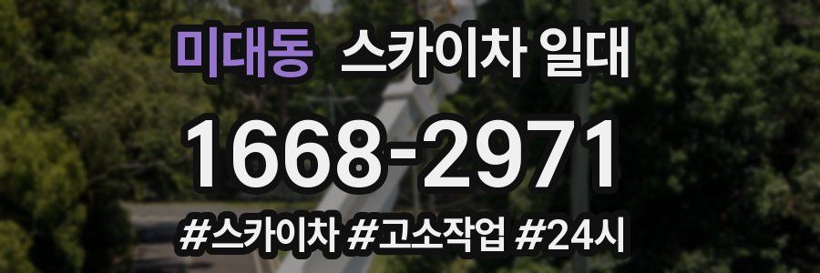 미대동 스카이차 일대