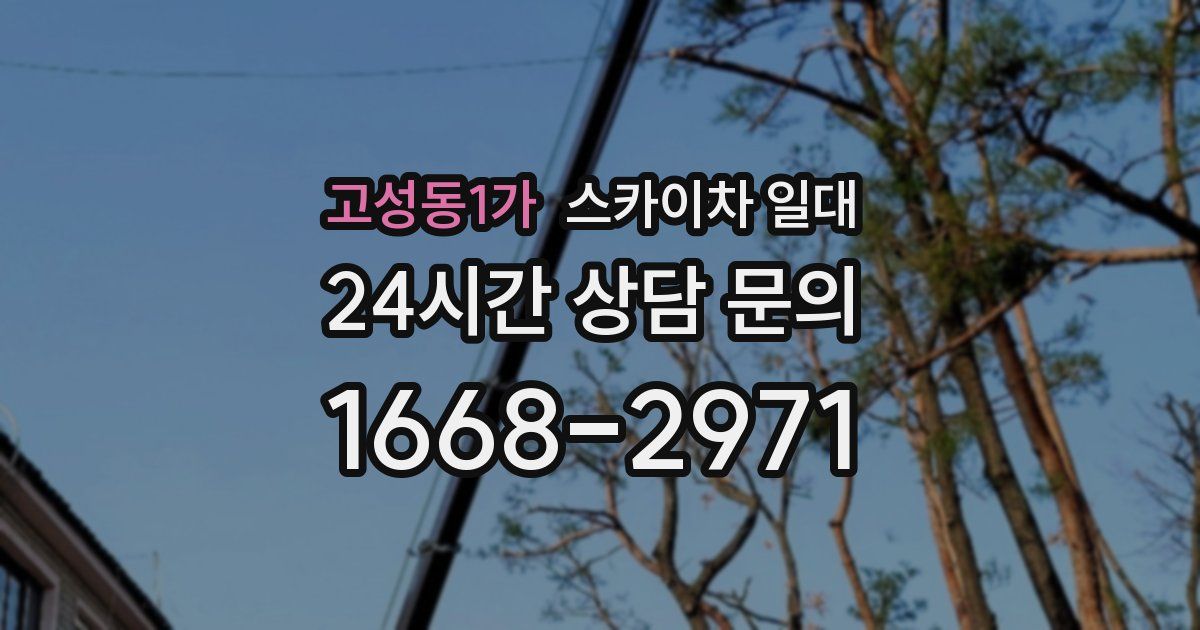 고성동1가 스카이차 일대