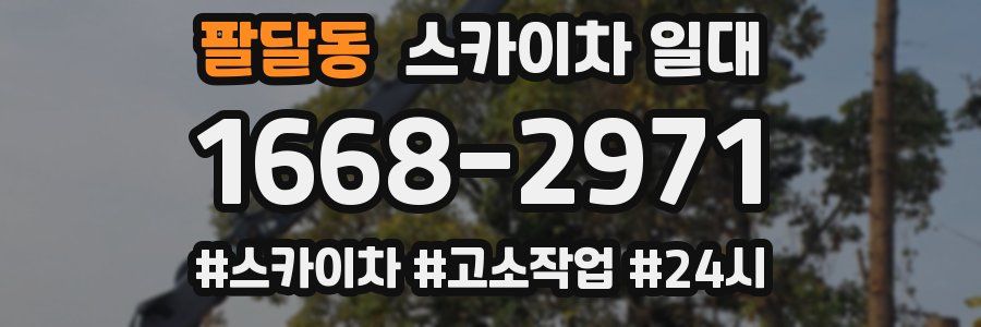 팔달동 스카이차 일대