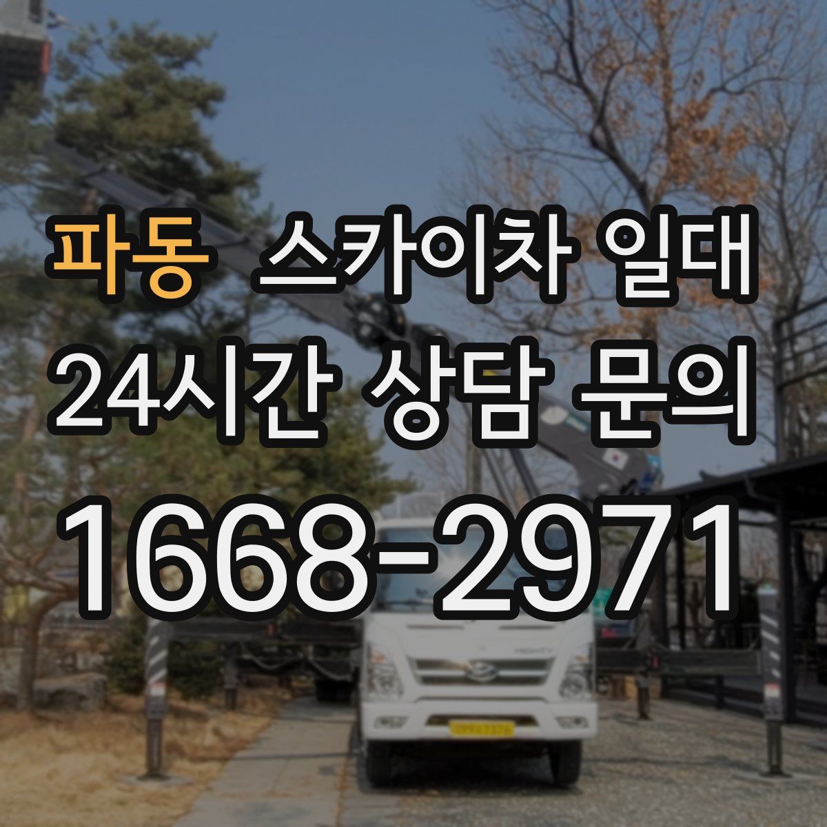 파동 스카이차 일대