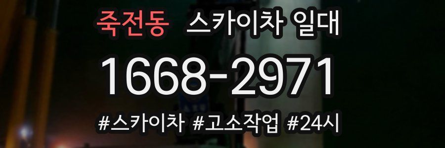 죽전동 스카이차 일대