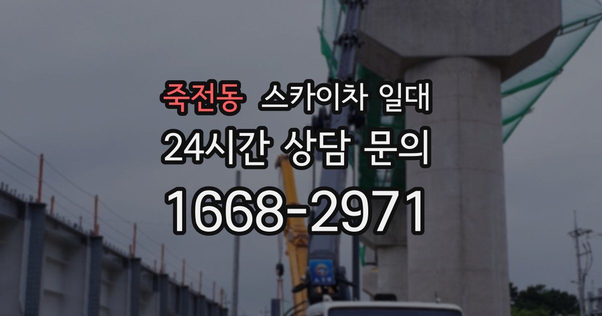죽전동 스카이차 일대