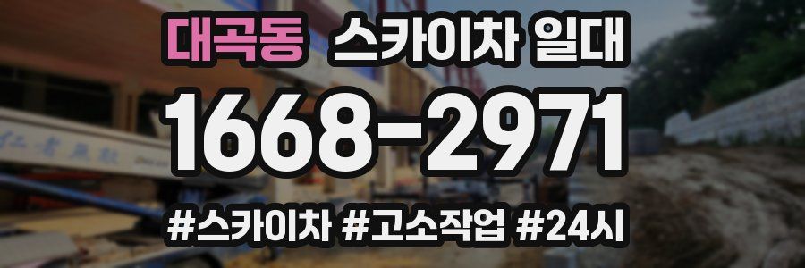 대곡동 스카이차 일대