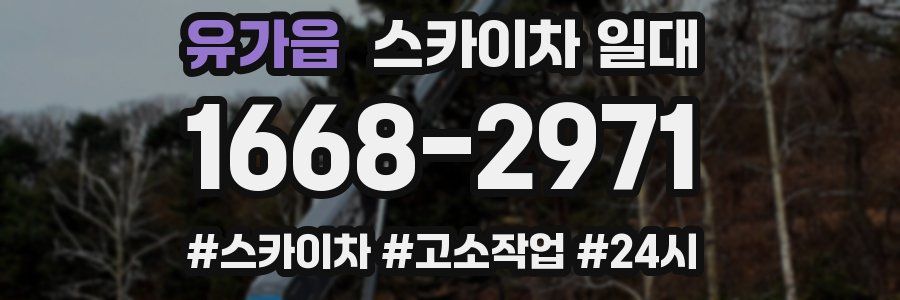 유가읍 스카이차 일대