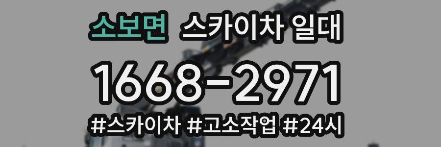 소보면 스카이차 일대