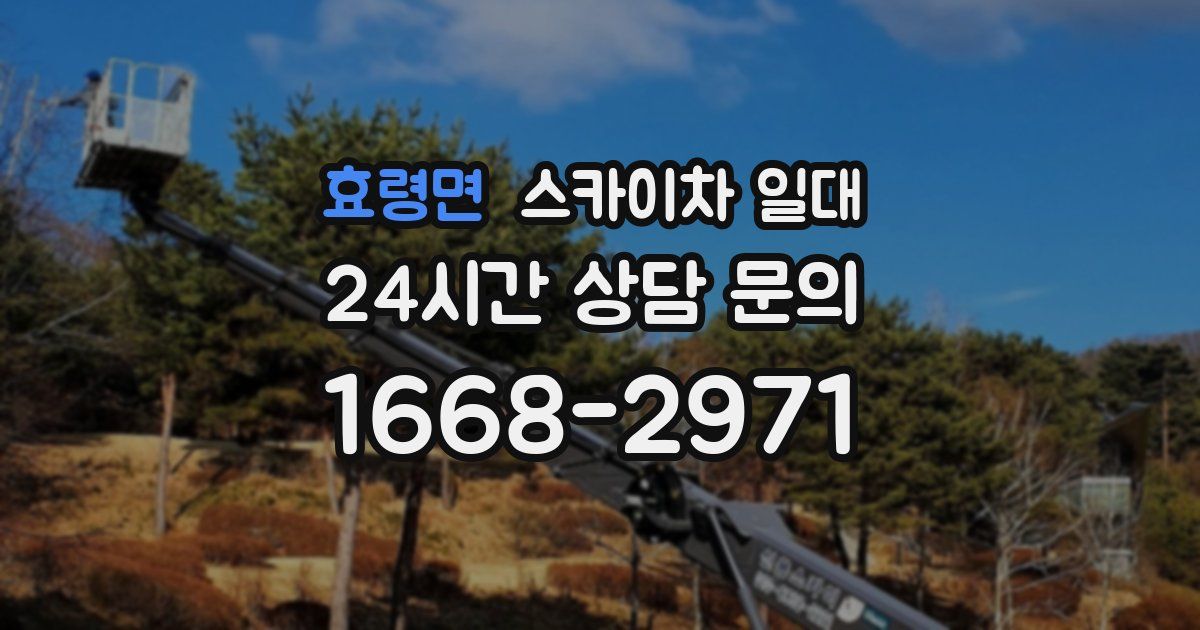효령면 스카이차 일대