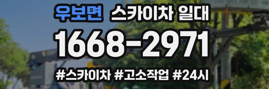 우보면 스카이차 일대