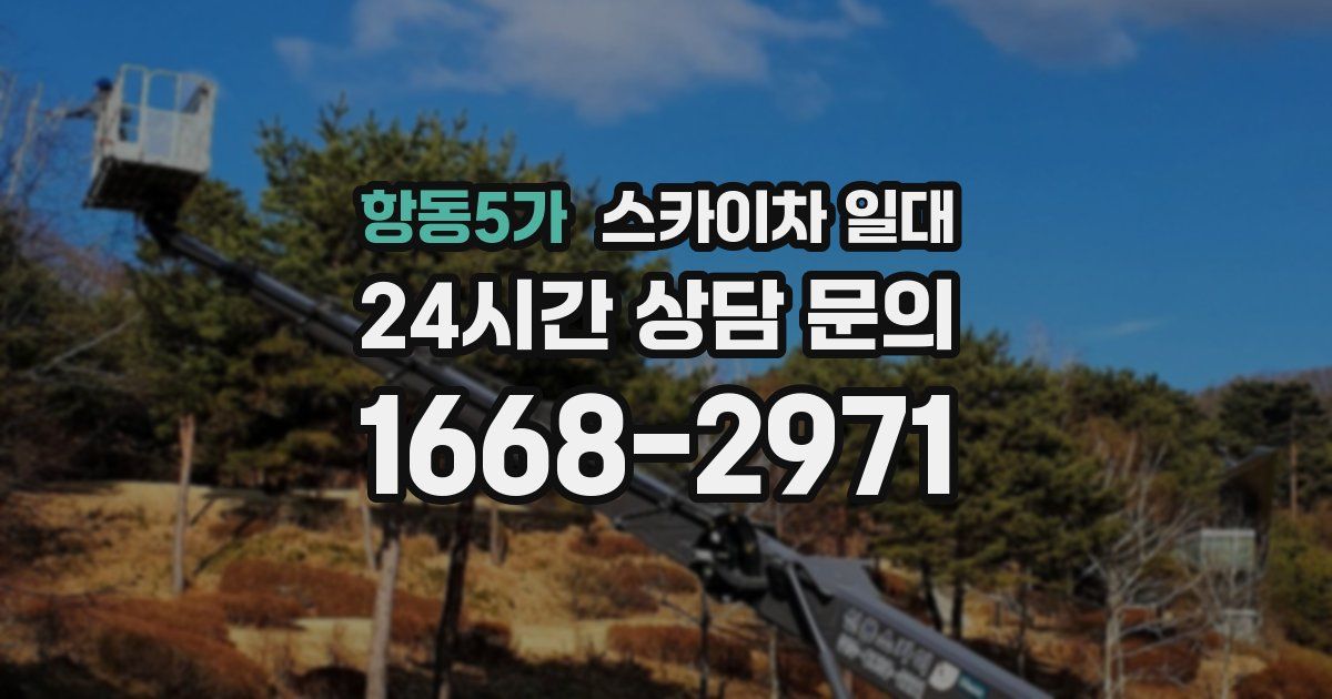 항동5가 스카이차 일대