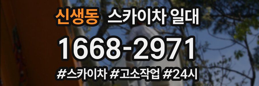 신생동 스카이차 일대