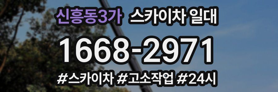 신흥동3가 스카이차 일대