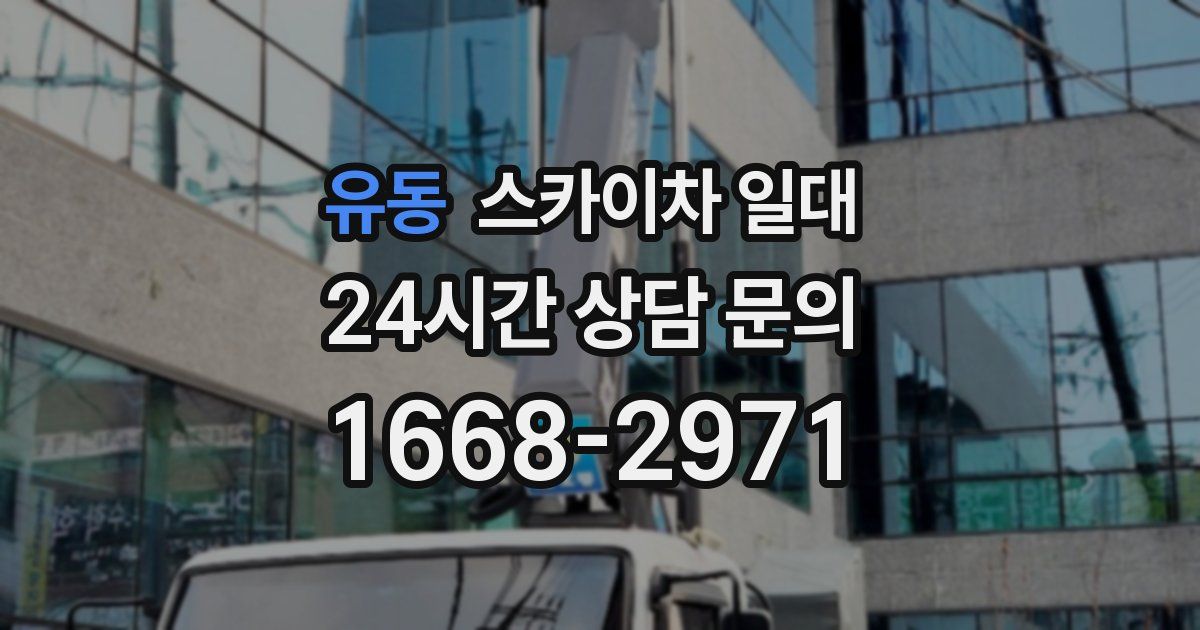 유동 스카이차 일대