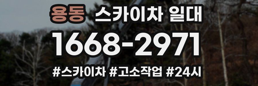 용동 스카이차 일대