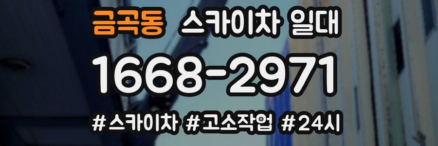 금곡동 스카이차 일대