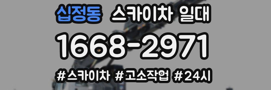 십정동 스카이차 일대