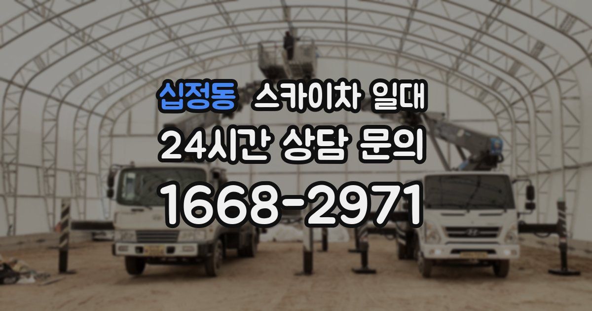 십정동 스카이차 일대