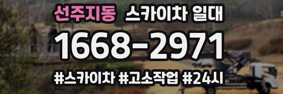 선주지동 스카이차 일대