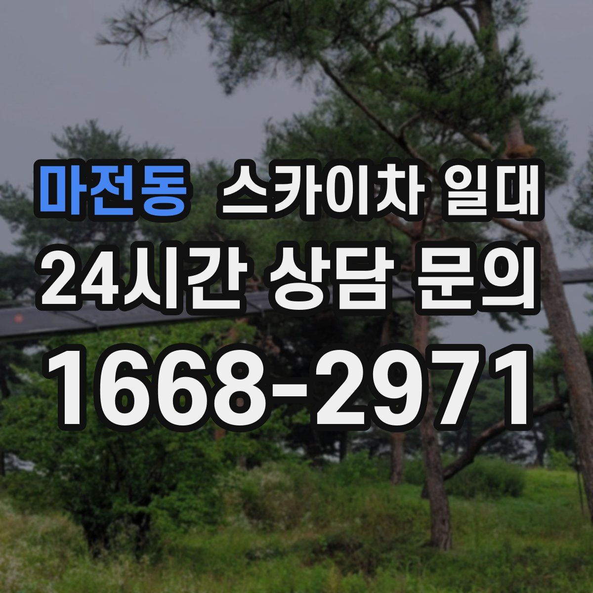 마전동 스카이차 일대