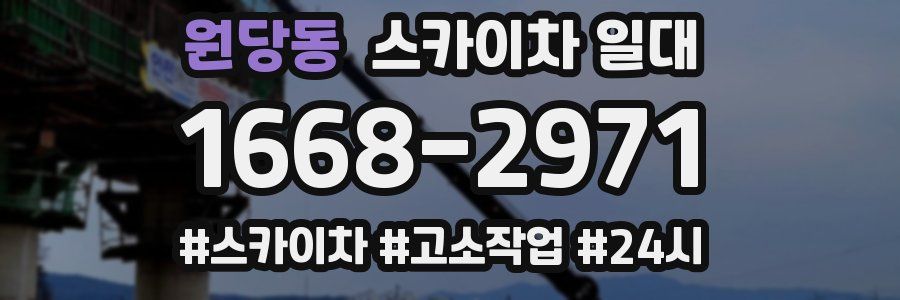 원당동 스카이차 일대
