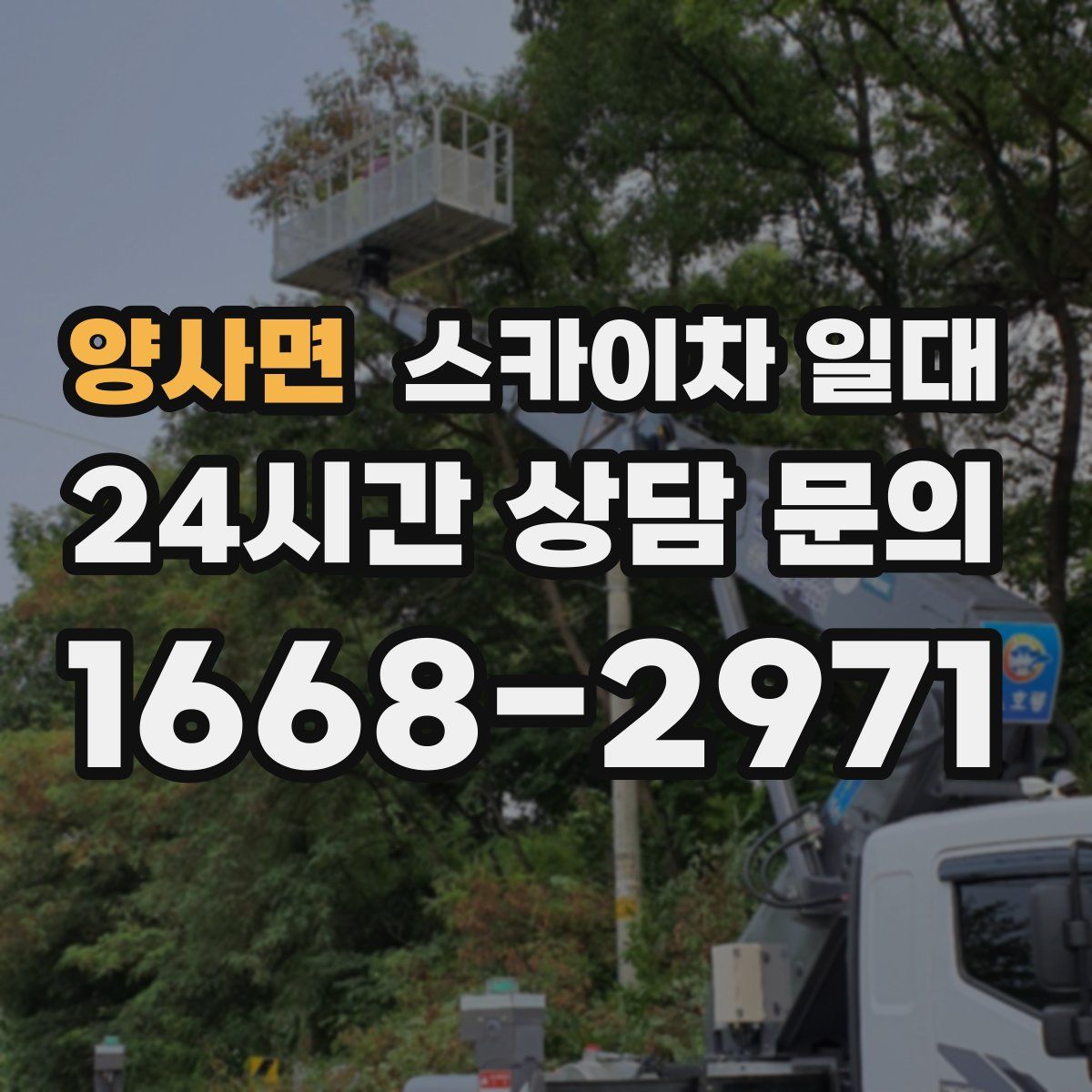 양사면 스카이차 일대