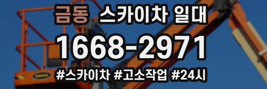 금동 스카이차 일대