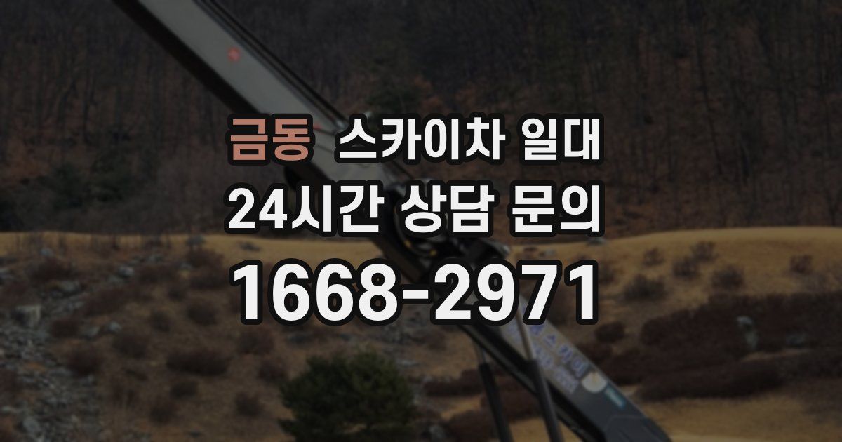 금동 스카이차 일대