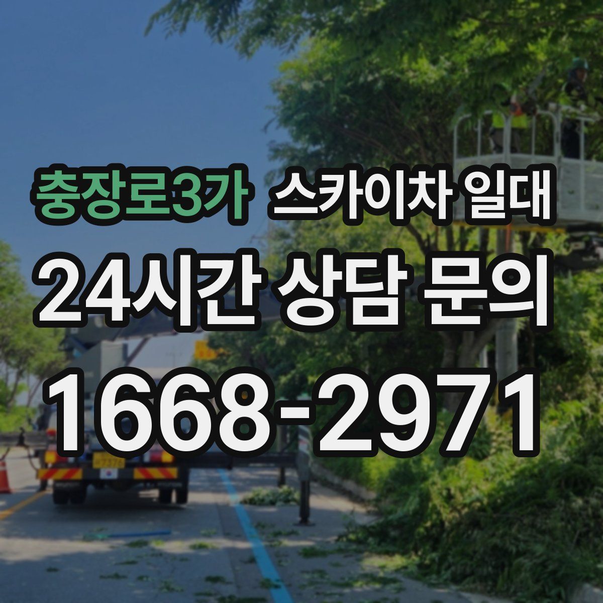 충장로3가 스카이차 일대