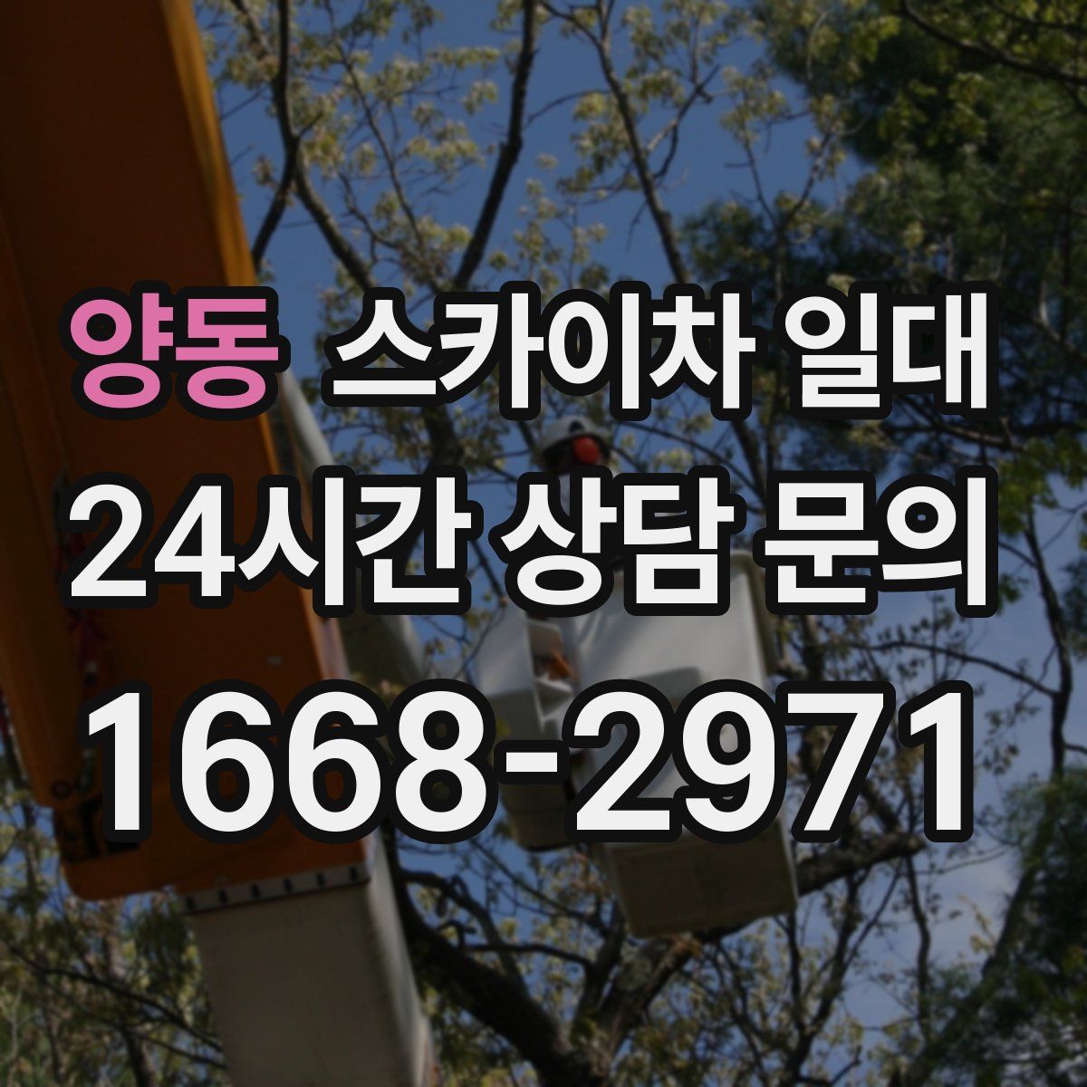 양동 스카이차 일대