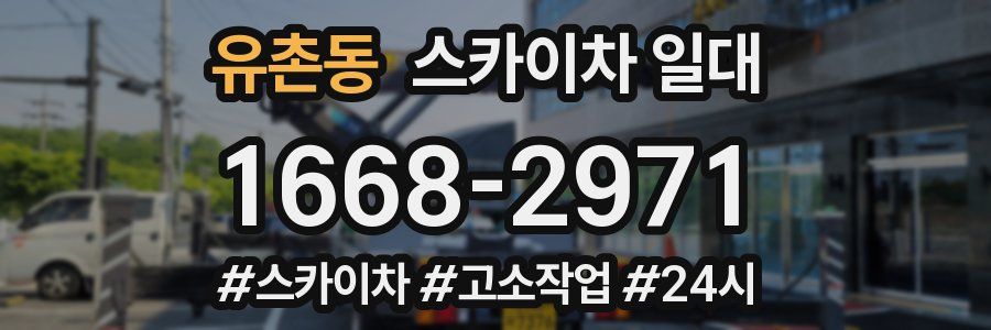 유촌동 스카이차 일대