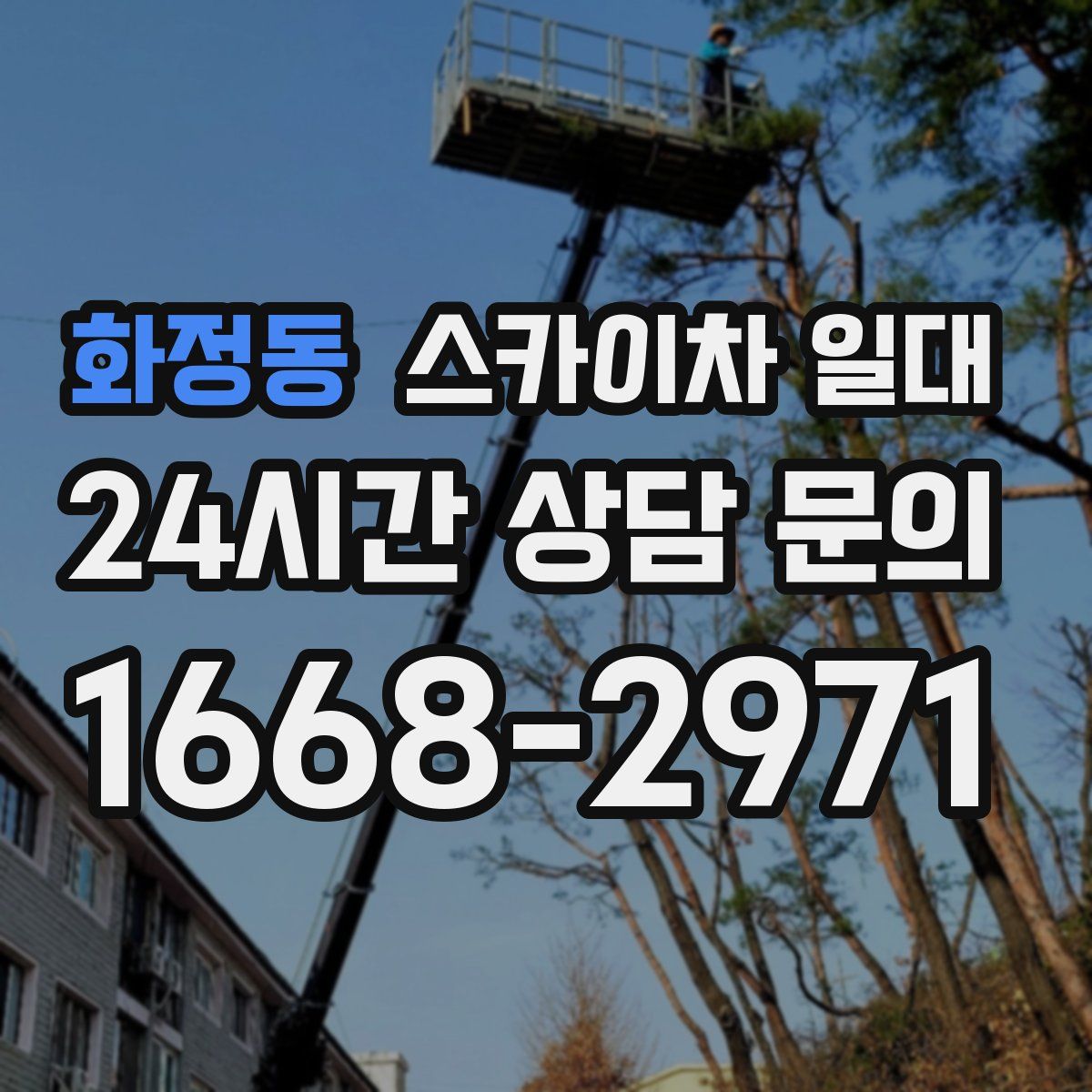 화정동 스카이차 일대