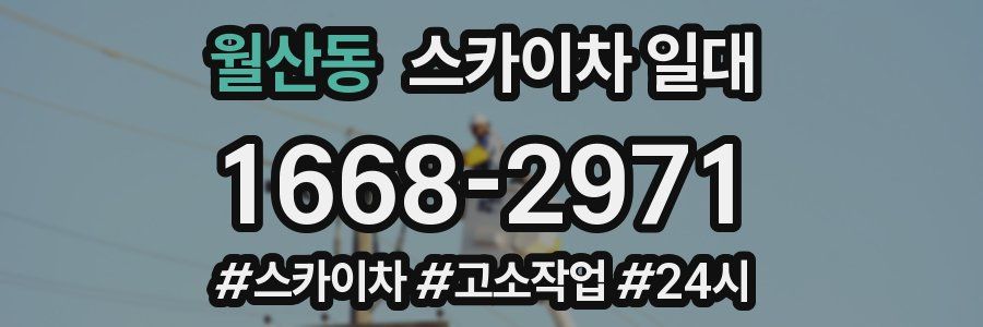 월산동 스카이차 일대