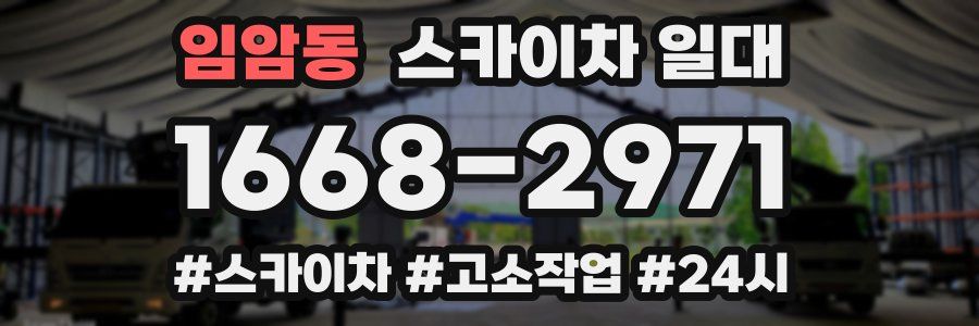 임암동 스카이차 일대
