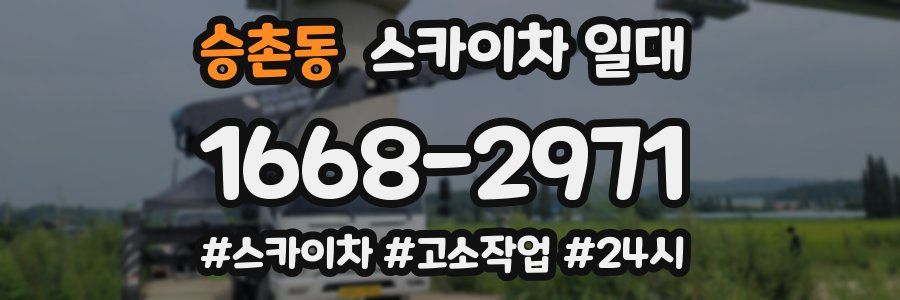 승촌동 스카이차 일대