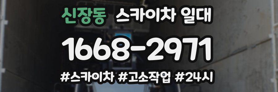 신장동 스카이차 일대