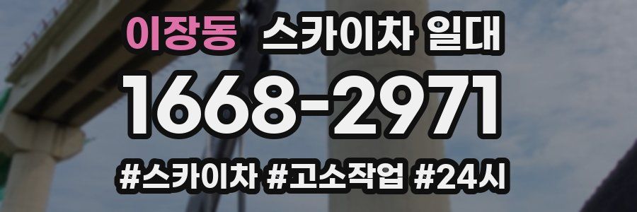 이장동 스카이차 일대