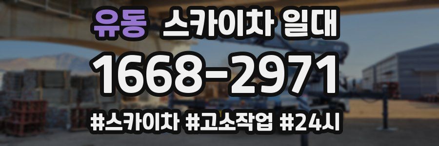 유동 스카이차 일대