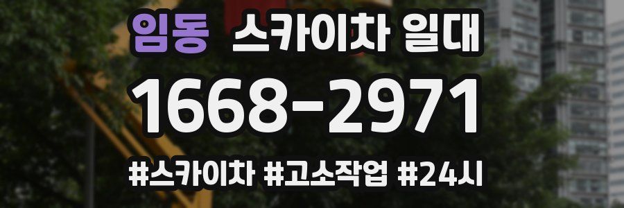 임동 스카이차 일대