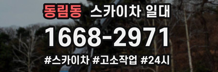 동림동 스카이차 일대