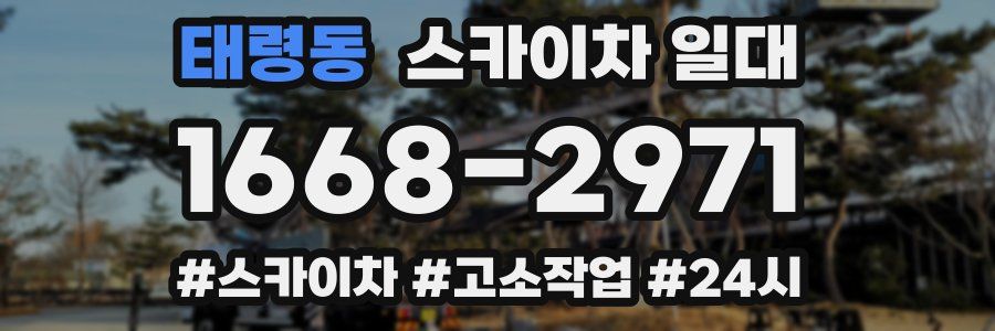 태령동 스카이차 일대