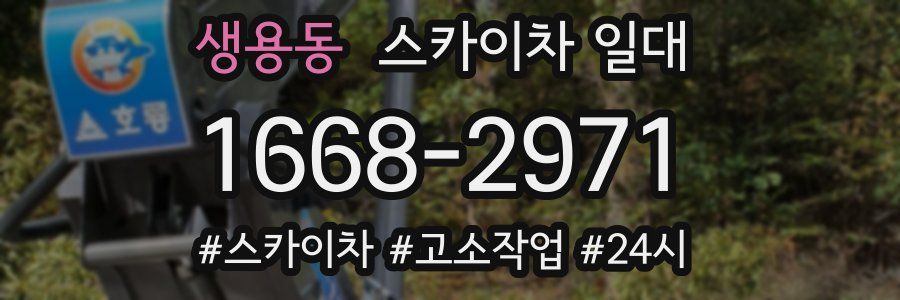 생용동 스카이차 일대