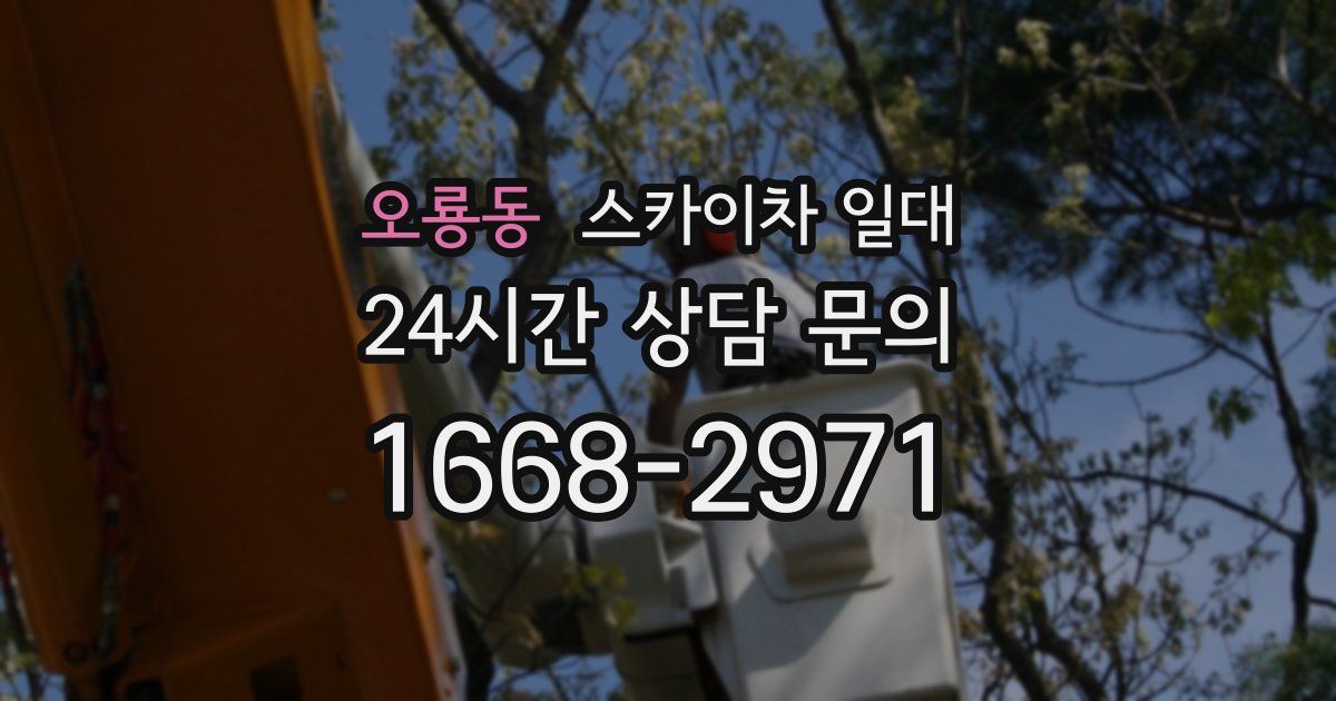 오룡동 스카이차 일대