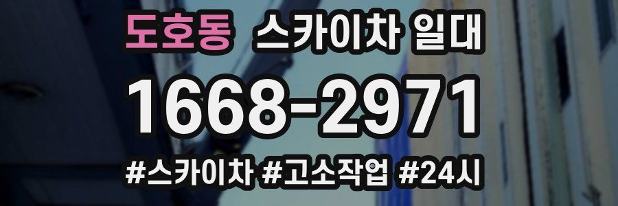 도호동 스카이차 일대