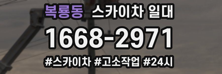 복룡동 스카이차 일대