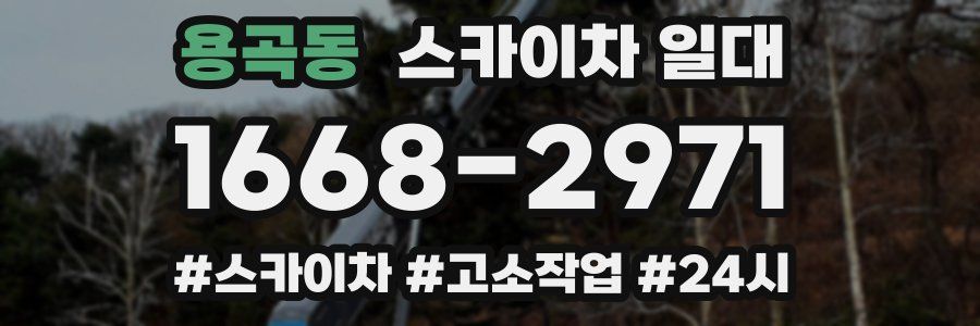 용곡동 스카이차 일대