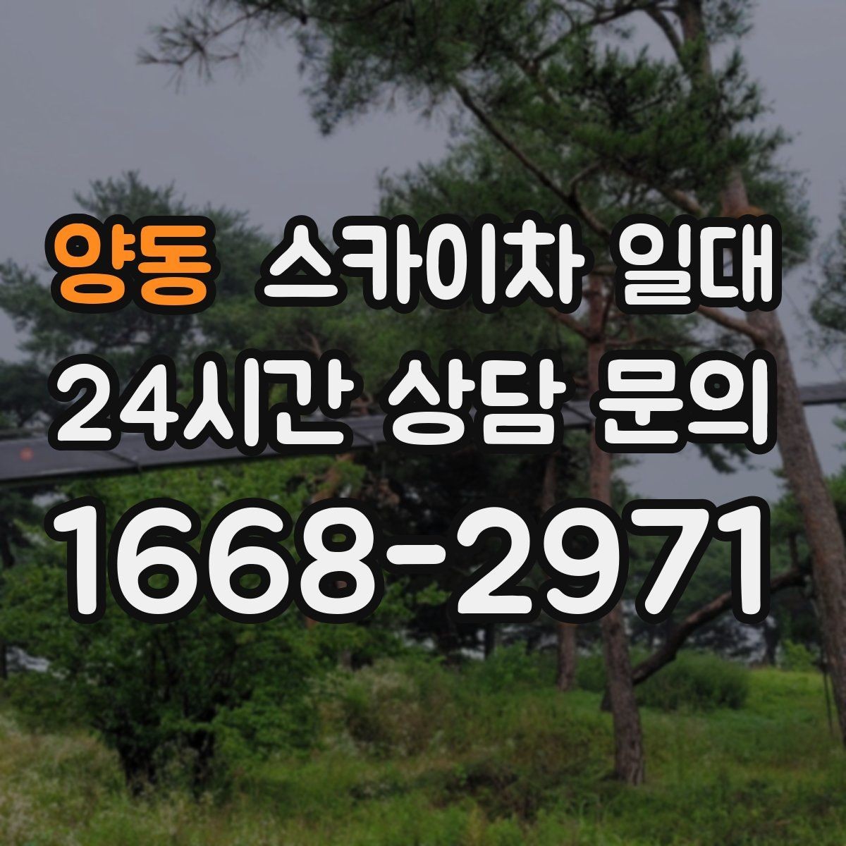 양동 스카이차 일대 현장에 맞는 장비 선택 포인트