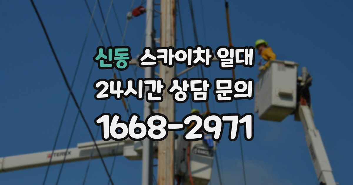 신동 스카이차 일대