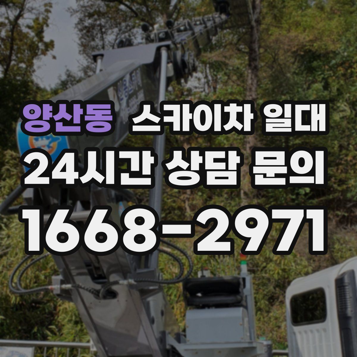 양산동 스카이차 일대